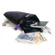 TravelSafe 100 - Secure Portable Safe (by PacSafe) PAC0420